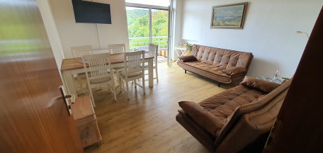 Wohnzimmer +TV und zwei Schlafsofas