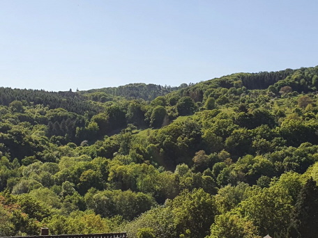 Ausblick