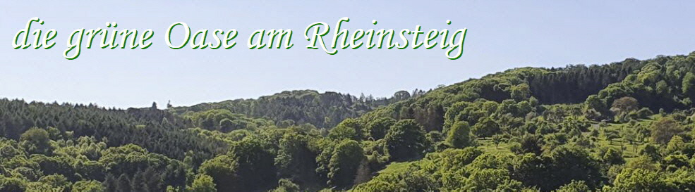Grne Oase am Rheinsteig